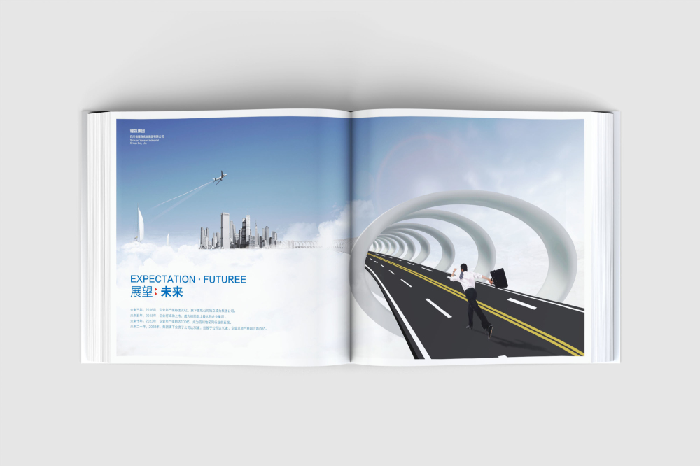 永川区画册设计